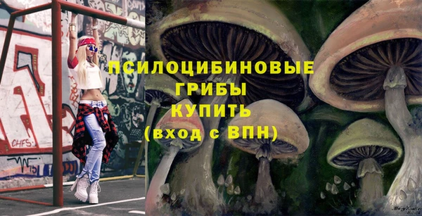 стафф Алзамай