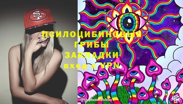 стафф Алзамай